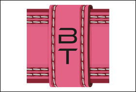 Belt Transport